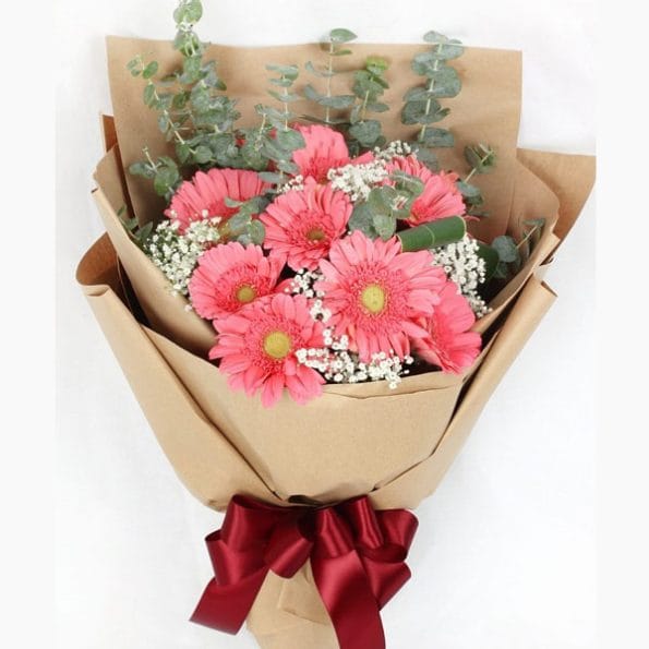 Hoa tỏ tình - Hoa đồng tiền
