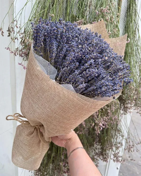 Hoa tỏ tình - Hoa lavender