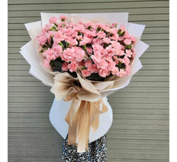 Hoa tỏ tình - Hoa cẩm chướng hồng