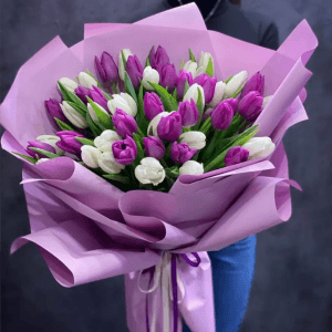 mau hoa tulip tim